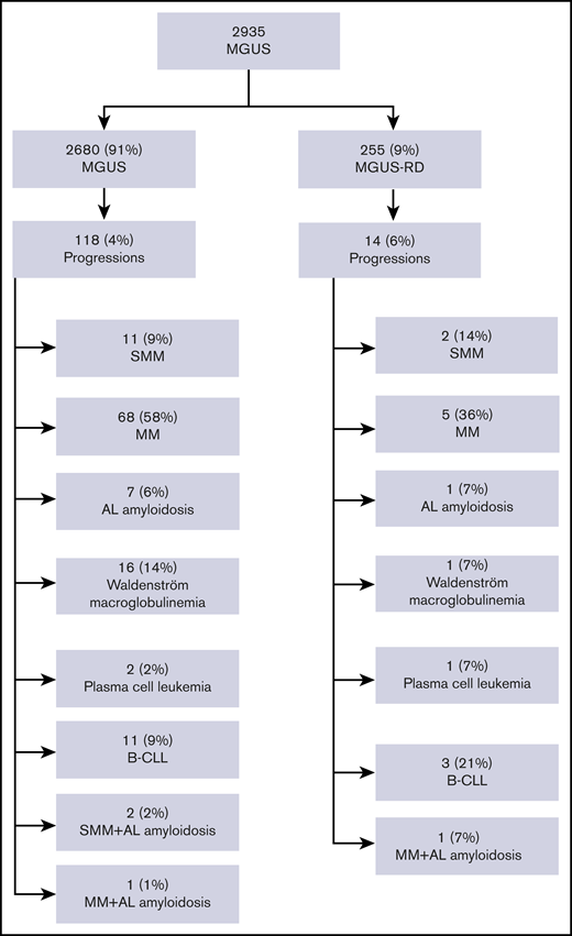 Study population overview with respect to transformation events. B-CLL, B-cell chronic lymphocytic leukemia; SMM, smoldering multiple myeloma.