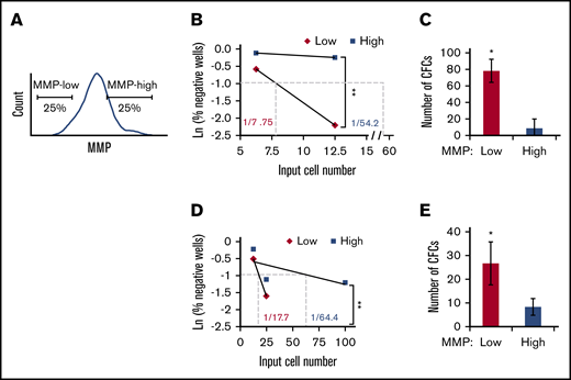 HSCs of lower mitochondrial activity maintain higher ex vivo stem cell function. (A) Gating strategy for FACS sorting MMP-low or MMP-high (25% lowest and highest of parental population, applied throughout the entire article except Figure 1 or otherwise indicated) CD38− HSPCs or CD90+ HSCs. (B,D) Representative scatter plots of limiting dilution analysis of LTC-IC frequency in MMP-low or MMP-high PB (B) CD90+ HSCs or (D) CD38− HSPCs. Dotted lines indicate LTC-IC frequency determined by Ln 37% nonresponder. P values calculated using L-Calc software, **P < .01, (C,E) Total number of LTC-IC–derived CFC generated from 150 initially seeded MMP-low and MMP-high PB (C) CD90+ HSCs or (E) CD38− HSPCs; (n = 2). Data are represented as mean ± standard deviation; (C,E) Student t test, *P < .05, **P < .01.