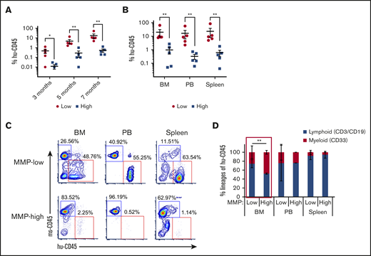 HSCs of lower mitochondrial activity show greater long-term repopulating capacity. (A) Temporal analysis of the engraftment ratio (the percentage of human CD45+ cells in total PB MNCs) of NSG mouse recipients of MMP-low or MMP-high CB CD90+ HSCs at 3, 5, and 7 months posttransplantation. (B) The engraftment ratio (the percentage of human CD45+ cells in total human and mouse CD45+ MNCs) in BM, PB, and spleen 7 months posttransplantation. (C) Representative FACS profiles of BM, PB, and spleen plotted as human CD45 (hu-CD45) (X) vs mouse CD45 (ms-CD45) (Y) from MMP-low or MMP-high recipient mice 7 months posttransplantation. (D) Myeloid/lymphoid lineage distribution (percentage of human CD33+ vs CD3+/CD19+ cells in total human CD45+ cells) in BM, PB, and spleen 7 months posttransplantation. Lineage analysis was performed only for transplants with engraftment ratio above 1%. Data are represented as mean ± standard deviation; (D) Student t test; (A-B) Mann-Whitney U test, *P < .05, **P < .01.