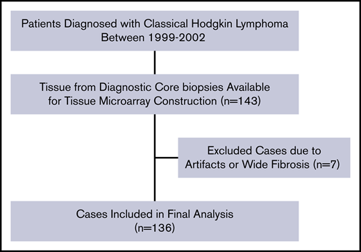 Patient selection flowchart for IL-6+leukocytes (n = 136). The same selection flow was used for the scoring of IL-6+ HRS (n = 130). TMA, tissue microarray.