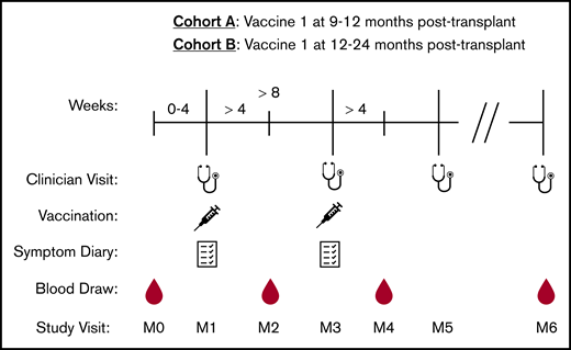 Study design for participants receiving RZV. Stethoscopes represent clinician visits that occurred on the day of V1 (M1), the day of vaccine 2 (M3), 6 months after V1 (M5), and the most recent follow-up (M6). Syringes represent RZV administration with ≥8 weeks between V1 and vaccine 2. Notebooks represent symptom diary collection that occurred at clinician visits M1 and M3 and collected by study staff via telephone or e-mail. Drops represent blood samples that were collected 0 to 4 weeks prior to V1 (M0), >4 weeks after V1 (M2), >4 weeks after vaccine 2 (M4), and at 10 to 14 months after V1 (M6), if follow-up allowed.
