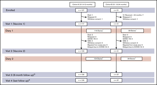Participant flow. Cohort A received V1 between 9 and 12 months after HCT. Cohort B received V1 between 13 and 24 months after HCT. Participants who did not return symptom diaries were monitored at the subsequent clinician visit for unsolicited AEs and SAEs. 1Three of 3 participants with missing diaries had follow-up visits with no SAE. One patient died secondary to infection not related to trial intervention. 2Six of 7 participants with missing diaries had follow-up visits with no SAE or death. 3Six of 7 participants who did not have follow-up after V2 returned diaries and were monitored for SAEs at 30 days. Lack of follow-up was attributed primarily to COVID-related delays. 4Sixteen participants had ≤6-month follow-up after V1. IS, immunosuppression.