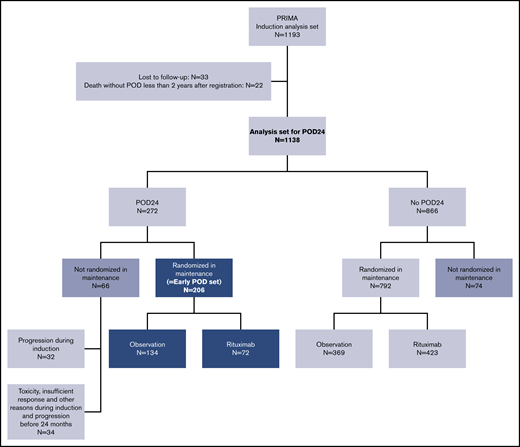 Patient flow. The early POD set encompassing the patients who progressed during the first 24 months and were randomized in the PRIMA study is enclosed in dark blue boxes. The set of patients added in the sensitivity analysis, with randomization in a pseudo-arm at registration, is enclosed in dark gray boxes.
