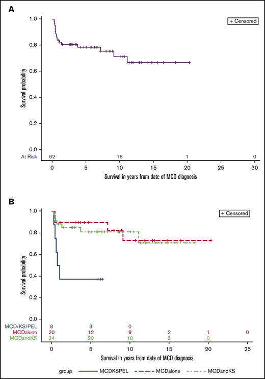 Overall survival in KSHV-MCD. Kaplan-Meier curve of all patients (A) and by group (B) log-rank test (P = .004).