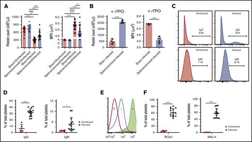 The role of tissue-mediated platelet clearance in L donovani–induced thrombocytopenia. Splenectomized and sham operated mice were infected with L donovani amastigotes for 28 days, similar to WT mice, and bled for the blood counts. (A) Platelet count and MPV of the study groups (n = 15 for each group). Data were pooled from 3 independent experiments and analyzed using ANOVA with the post hoc Tukey’s test comparing mean ± SD of all groups. (B) Platelet count and MPV of sham/infected (n = 4) and splenectomized/infected (n = 5) mice after administration of exogenous rTPO (50 µg/g bodyweight) for 5 consecutive days. Data are representative of a single experiment and analyzed with the unpaired Student t test comparing the mean ± SD between 2 groups. (C) Flow cytometric analysis was performed for the estimation of IgG- and IgM-bound platelets in the circulation of infected mice. Representative histograms show the gating strategy for IgG- and IgM-bound platelets in uninfected and infected mice. (D) Dot plots represent the percentage of total platelets with bound IgG and IgM in uninfected (n = 5) and infected (n = 15) mouse platelets. Data are representative of 2 independent experiments and were analyzed with the unpaired Student t test comparing the mean ± SD between the 2 groups. (E) Flow cytometric analysis was performed on the freshly isolated platelets for the estimation of desialylated platelets in circulation. Histograms representative of gating strategy for lectin+ platelets in infected (i) and uninfected control (c) mice. Neuraminidase-treated platelets (n) were used as the positive control for each lectin. (F) Percentage of RCA-1 and MAL-2 lectin+ platelets from uninfected (n = 4) and infected (n = 15) mice. Data were pooled from 2 independent experiments and analyzed using the unpaired Student t test comparing the mean ± SD between 2 groups. *P < .05; **P < .01; ***P < .001; ****P < .0001.