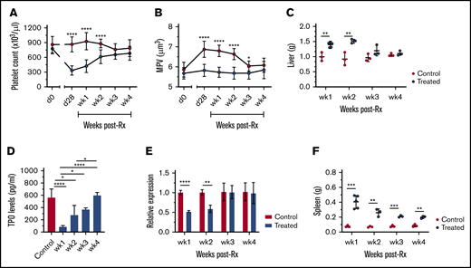Reversal of thrombocytopenia with the restoration of TPO production and organomegaly in infected mice after treatment.L donovani–infected mice were treated with a single IV dose of AmBisome (8 mg/kg) at day 28 PI and bled weekly via tail vein for platelet counts. Platelet counts (A), MPV (B), and postmortem liver weights (C) of AmBisome-treated and uninfected control mice. Data are representative of a single experiment and were analyzed with the unpaired Student t test comparing means ± SD of treated vs uninfected control at each time point. (D) Circulating TPO levels were measured weekly in serum samples of uninfected control (n = 5) and treated (n = 3 at weeks 1, 2, 3, and 4) mice. Data are representative of a single experiment and analyzed using ANOVA with the post hoc Tukey’s test. (E) Hepatic Thpo mRNA accumulation was measured using quantitative RT-PCR on postmortem liver samples of uninfected control (n = 3) and treated (n = 3) mice at each time point. Data are representative of a single experiment and analyzed using the unpaired Student t test comparing the mean ± SD of control vs treated mice. (F) Postmortem spleen weights (g) of AmBisome-treated and uninfected control mice. Data are representative of a single experiment and analyzed using the unpaired Student t test comparing the mean ± SD of treated vs uninfected control at each time point. *P < .05; **P < .01; ***P < .001; ****P < .0001.