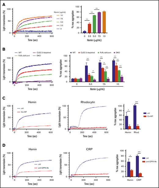 Contribution of CLEC-2 and GPVI to platelet activation by hemin. (A) Hemin-induced platelet aggregation in WT mice. Washed murine platelets were stimulated with 5 concentrations of hemin (0, 2.5, 5.0, 7.5, and 10 μg/mL). (B) Hemin-induced murine platelet aggregation using 4 concentrations of hemin (0, 5.0, 7.5, and 10 μg/mL) in WT (blue), CLEC-2–depleted (red), FcRγ-deficient (green), and CLEC-2–depleted FcRγ-deficient (purple) mice. The representative aggregation curves of platelets treated with 7.5 µg/mL hemin are shown. (C) Blocking effect of 0.8 µg/mL Co-HP or 1% dimethyl sulfoxide/PBS (control) on hemin (10 μg/mL)- or rhodocytin (Rhod) (5 nM)-induced platelet aggregation in FcRγ-deficient mice. The representative curves (left and middle) and quantifications of maximum light transmission (right) are shown. (D) Blocking effect of 10 µg/mL anti-GPVI antibody (ab) or control rat IgG (control) on hemin (10 μg/mL)- and CRP (0.125 µg/mL)-induced platelet aggregation in CLEC-2–depleted mice. The representative curves (left and middle) and quantifications of maximum light transmission (right) are shown. Data in the bar graphs (panels A-D) are mean ± standard deviation; n = 3. *P < .05, **P < .01, ***P < .001. Tukey’s multiple-comparison test was used for panels A and B, Student t test was used for panels C and D.