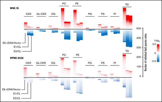 ELOVL6 regulates resistance to BTZ in MM cells. MM.1S and RPMI8226 cells were transduced with empty vector (vector), ELOVL6 cDNA-expressing vector (E6 cDNA), control shRNA (CL), or ELOVL6 shRNAs (E1 or E2). The resulting cell populations were subjected to lipidomic analysis in independent triplicates 48 hours postinfection. Shown are means of the individual lipid ratios between MM cell populations that were calculated and plotted as heatmaps for the following lipid classes using Microsoft R Open (version 3.5.1) software: –ceramides (CER), glycosylceramides (GL-CER), diacylglycerides (DG), –phosphatidylcholine (PC), –phosphatidylethanolamine (PE), –phosphatidylglycerol (PG), –phosphatidylserine (PS), –phosphatidylinositol (PI), and –triglycerides (TG). Only lipid classes with >20 species per lipid class are shown. The heatmaps consist of individual lipid species ratios. A scale for the number of individual lipid species ratios is shown on the right.