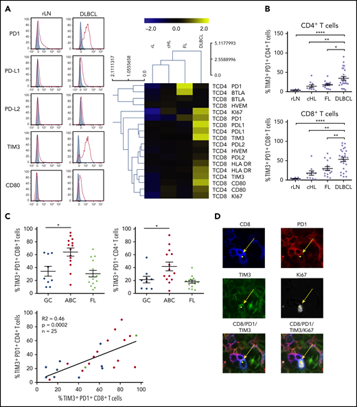 PD1+TIM3+CD4+T cells and PD1+TIM3+CD8+T cells are enriched in ABC DLBCL tissues. (A) Representative histograms of PD1, PD-L1, PD-L2, TIM3, and CD80 expression on CD8+ T cells from 1 rLN and 1 DLBCL sample (left). PD1, PD-L1, PD-L2, BTLA, HVEM, CD80, TIM3, HLA-DR, and Ki67 expression on CD4+ and CD8+ T cells in DLBCL (n = 25), FL (n = 15), cHL (n = 10), and rLN (n = 7) samples (right). The percentage of Ki67+ cells and median fluorescence intensity (MFI) for other markers were normalized and hierarchically clustered using Tmev software. (B) Percentage of CD4+ and CD8+ T cells expressing PD1 and TIM3 in DLBCL (n = 25), FL (n = 15), cHL (n = 10), and rLN (n = 7) samples. (C) Percentage of PD1+TIM3+ CD8+ T cells and PD1+TIM3+ CD4+ T cells in GC DLBCL (n = 9), ABC DLBCL (n = 14), and FL (n = 15) samples. Correlation between percentages of PD1+TIM3+ CD8+ T cells and percentages of PD1+TIM3+ CD4+ T cells on DLBCL samples (GC, blue; ABC, red; unknown, green). (D) Representative mIHC staining in a DLBCL sample (magnification ×100). Yellow arrows show a CD8+ (blue), PD1+ (red), TIM3+ (green) cell that expresses Ki67 (white). *P < .05, **P < .01, ****P < .0001 by Mann-Whitney nonparametric U test.