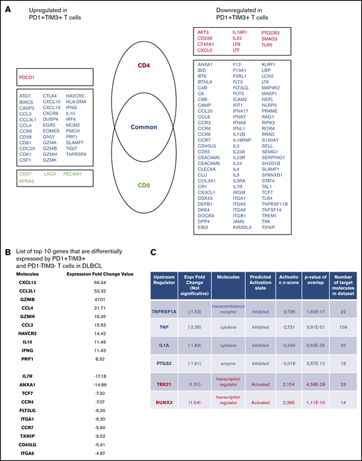 PD1+TIM3+T cells display an exhausted transcriptomic signature. (A) Genes differentially expressed by PD1+TIM3+ and PD1−TIM3− T-cell subsets. Genes are classified as specific to CD4+ T cells (red) or CD8+ T cells (green) or common to both subsets (blue). (B) List of top-10 genes differentially expressed by PD1+TIM3+ and PD1−TIM3− T-cell subsets. (C) Upstream regulators for genes differentially expressed by PD1+TIM3+ and PD1−TIM3− T-cell subsets.
