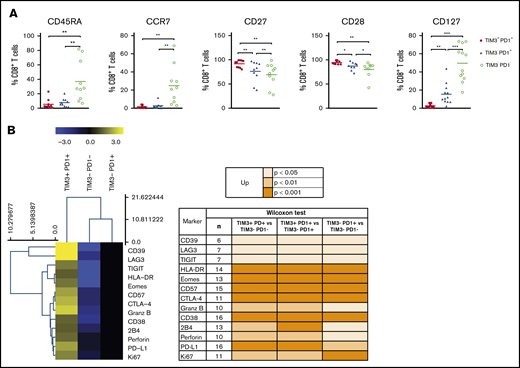 The PD1+TIM3+T cell–exhausted phenotype. (A) Expression of CD45RA, CCR7, CD27, CD28, and CD127 by PD1+TIM3+, PD1+TIM3−, and PD1−TIM3− CD8+ T-cell subsets (n = 10 DLBCL). (B) Expression of inhibitory, proliferation, and effector markers among CD8+ T-cell subsets. For each marker, the percentage was normalized and hierarchically clustered using Tmev software. *P ≤ .05, **P < .01, ***P < .001 by Wilcoxon parametric test.