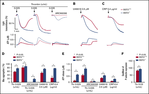 Tetherin/BST-2 negatively regulates other membrane microdomain–expressed receptor functions in mouse platelets. Thrombin (A)-, TP thromboxane (B)-, and CRP (C)-stimulated platelet aggregation was significantly enhanced in BST-2−/− vs BST-2+/+ mice in washed platelets. Representative traces from 3 independent experiments showing platelet aggregation (top) and ATP secretion (bottom) in response to thrombin in the absence and presence of the P2Y12 receptor antagonist (ARC66096; 10 μM), U46619 or CRP. (D-E) Data were quantified and expressed as maximum aggregation (D) and ATP secretion (E). Data represent mean ± standard error of the mean (SEM) of 3 independent experiments. *P < .05; 2-tailed Student t test. (F) Platelet α-granule secretion was assessed by measuring thrombin (0.03 μ/mL)-stimulated P-selectin expression by flow cytometry. Data represent mean ± SEM of 3 independent experiments. *P < .05; 2-tailed Student t test.