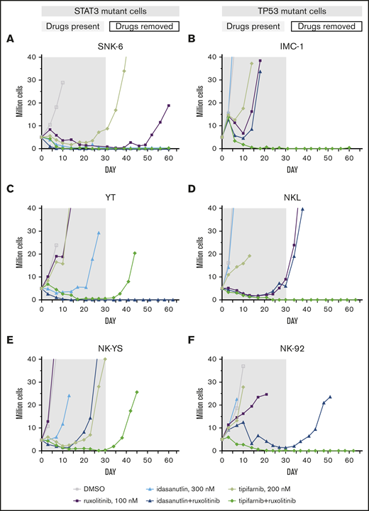 In vitro TTP assay reveals differential drug sensitivities toward ruxolitinib combinations in STAT3- and TP53-mutant cell lines. Concurrent treatment with ruxolitinib and tipifarnib or idasanutlin in STAT3-mutant (A-C) or TP53-mutant (D-F) NK-cell lines. Treatments were maintained for 30 days (gray area) with single drugs and their combinations, and observed for another 30 to 32 days after drug removal (white area). Cells were counted, and drug and media were replenished every third to fourth day and set to 3 to 3.5 × 105 cells/mL cell density. Cultures were stopped when reaching 20 million (2 duplications from start).