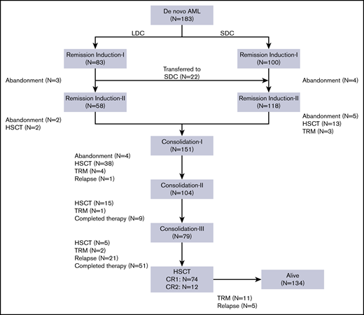 Flowchart of the study.