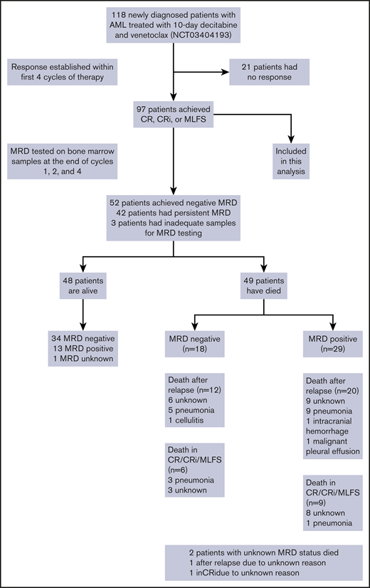 Schema showing overall population and patients included in this analysis.