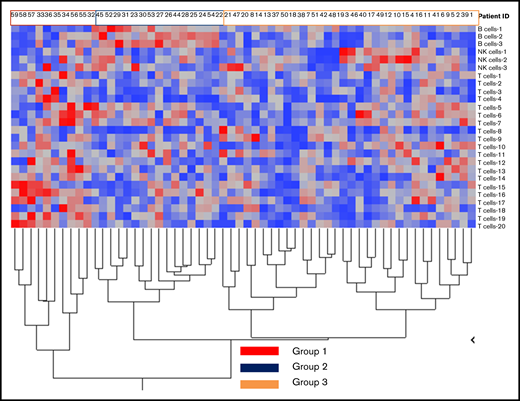 Immune reconstitution patterns after ASCT. Grouping of patients after hierarchical clustering based on their cellular immune microenvironment (CyTOF identified immune subsets expressed as % of CD45+ cells) according to subset abundance (blue = low; red = high; a detailed legend of the corresponding numerical values for each group is presented in supplemental Figure 3).