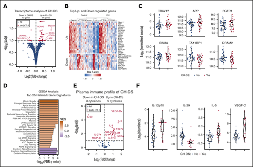 Biosignatures of CH in DS. (A) Volcano plot displaying results of whole blood transcriptome analyses of individuals with T21 with (CH-DS) vs without CH. Differential expression, fold changes, and false discovery rate (FDR)–adjusted P values (padj) were calculated with DeSeq2. Horizontal dashed line indicates the statistical cutoff of adjusted P value < .1. (B) Heatmap displaying Z-score values for differentially expressed genes (DEGs) in individuals with T21 and with (CH) or without (Control) CH-DS. (C) Sina plots for select DEGs. (D) Heatmap showing results of gene set enrichment analysis (GSEA) of the transcriptome data. Orange denotes activation of the indicated pathways; violet indicates repression. (E) Volcano plot showing the results of plasma cytokine profiling using Meso Scale Discovery assays for 54 immune factors in individuals with DS with vs without CH. Fold-change and FDR-adjusted P values were calculated with a linear model. Horizontal dashed line indicates the statistical cutoff of adjusted P < .1. (F) Sina plots showning levels of select cytokines differentially abundant in the plasma of individuals with T21 and CH-DS. Boxes in panels C and F represent interquartile ranges and whiskers extend to 1.5× the interquartile ranges. Dn, down; NES, normalized enrichment score; UV, ultraviolet light.