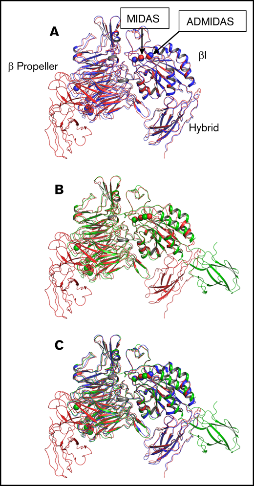 PT25-2 binding does not induce hybrid domain swing-out. (A) Overlay of the αIIbβ3 headpiece in complex with PT25-2 (red) and the headpiece of unliganded αIIbβ3 (PDB: 3FCS) (blue). (B) Overlay of the αIIbβ3 headpiece in complex with PT25-2 (red) and the headpiece of αIIbβ3 in complex with the fibrinogen γ-chain C-terminal dodecapeptide (PDB: 2VDO) (green). (C) Overlay of all 3 αIIbβ3 headpiece structures. ADMIDAS, adjacent to MIDAS; βI, β-inserted domain.