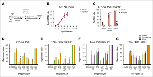 Evidence of residual disease in the splenic niche of ETP-ALL PDX. (A) As shown, 2 × 106 cells of PDX-1 were injected in the tail vein of male NSG mice until the engraftment of human CD45+ cells. The animals were then randomized into vehicle and ABT-199 treatment (25 mg/kg by oral gavage daily) groups. (B) Percentage of hCD45+ blasts in the peripheral blood upon treatment. (C) Percentage of hCD45+ blasts in the blood, bone marrow, and spleen of vehicle- and ABT-199–treated mice at the end of 21 and 36 days. (D) BH3 profile of hCD45+ cells isolated from bone marrow and spleen of PDX-1 mouse models. (E-G) BH3 profile of hCD45 blasts isolated from the blood, bone marrow, and spleen of T-ALL PDX-2, PDX-3, and PDX-4 mouse models. Mean ± SEM; n = 3. Two-way analysis of variance with Bonferroni multiple comparison test was used to calculate statistical significance. *P < .05, **P < .01, ****P < .0001.