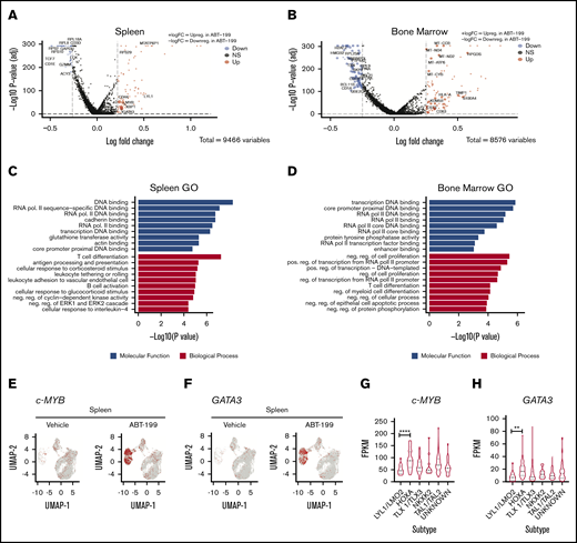 T-cell differentiation markers are enhanced in the spleen after ABT-199 treatment. Volcano plot representations of the DE genes for LOUCY cells collected from the spleen (A) and bone marrow (B) after vehicle and ABT-199 treatment. Red and blue points mark the genes with significantly increased or decreased expression, respectively. The x-axis shows log fold changes in expression and the y-axis the log odds of a DE gene. The P values were determined by using the Wilcox rank sum test with adjusted P values calculated using Bonferroni correction in Seurat. (C) Enriched Gene Ontology (GO) terms of DE genes in the spleen (clusters 3, 6, 12, and 15) after ABT-199 treatment. The 10 most significantly (P < .05) enriched GO terms in molecular functions and biological processes are presented. All the adjusted statistically significant values of the terms were negative 10-base log transformed. The P values were determined by using Enrichr with default parameters. (D) GO functional analysis of DE genes in the bone marrow (clusters 4, 5, and 15) after ABT-199 treatment. (E) cMYB gene scatterplot in LOUCY cells from the spleen of vehicle- and ABT-199–treated mice. (F) GATA3 gene scatterplot in LOUCY cells from the spleen of vehicle- and ABT-199–treated mice. (G-H) cMYB and GATA3 expression from a T-ALL patient cohort of 264 primary samples using RNA-Seq data set.28 One-way analysis of variance with Tukey’s multiple comparison post hoc test for statistical significance values. **P < .01, ****P < .001.