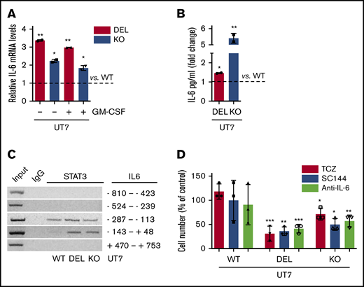 Abnormal IL-6 pathway activation is independent of MPL. (A) The IL-6 mRNA levels were measured by qRT-PCR in CALR DEL and KO UT7 cells grown in the presence or absence of GM-CSF and expressed relative to CALR WT cells (dashed line). RNAseP mRNA levels were used for relative quantity (RQ) calculation. The levels of IL-6 in the culture medium of CALR DEL and KO UT7 cells were quantified by ELISA and expressed as fold change relative to parental cells (dashed line; panel B). (C) ChIP assay was performed in extracts of CALR WT, DEL, and KO UT7 cells using STAT3 antibody, or normal rabbit serum (IgG) as negative control, with the primers amplifying the indicated regions of the IL-6 promoter. (D) CALR WT, DEL, and KO UT7 cells were seeded at 1 × 105 cells per milliliter, in the presence of TCZ (1 μg/mL), SC144 (5 μM), and anti–IL-6 antibody (1 μg/mL), and living cells were counted daily by trypan blue dye exclusion; data shown represent percent changes compared with respective control cells maintained in the absence of drugs, for 3 days of culture, and are the mean plus or minus SD of 3 independent experiments. All P values were determined by Student t test (*P < .05; **P < .01; ***P < .01).