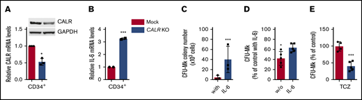 Downregulation of WT CALR in normal CD34+cells increases IL-6–dependent CFU-Mk generation. (A) Immunopurified CD34+ cells from donor CB units were transfected with a CALR CRISPR-GFP plasmid targeting exon 1 to generate a KO condition, or a mock CRISPR-GFP plasmid; cells were sorted based on high fluorescence intensity and analyzed for CALR mRNA (by qRT-PCR) and protein (by western blotting) expression levels. CALR mRNA levels are expressed relative to RNAseP mRNA levels, used for relative quantity (RQ) calculation. In these same cell preparations, the levels of IL-6 mRNA were measured by qRT-PCR, and expressed relative to WT cells, set at value 1 (panel B). (C-E) CRISPR-edited CD34+ cells were sorted based on their high GFP expression and plated in clonogenic plasma clot cultures for growth of CFU-Mk colonies, in the presence (C) or absence (D) of IL-6 in the culture medium. (E) In these experiments, cells were cultured in the absence of IL-6 but in the presence of TCZ (5 ng/mL). Data for each experimental condition represent the mean plus SD of at least 3 experiments. All P values were determined by Student t test (*P < .05; ***P < .001).
