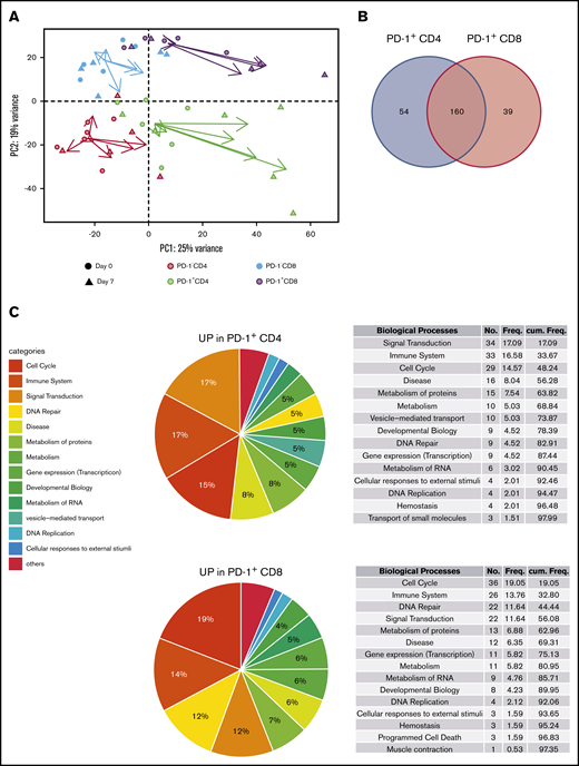 Lenalidomide-induced PD-1+T cells display a specific transcriptomic profile. (A) Principal component analysis of PD-1– CD4 T cells (salmon symbols), PD-1+ CD4 T cells (green symbols), PD-1– CD8 T cells (blue symbols), and PD-1+ CD8 T cells (purple symbols), collected before and after 1 week of lenalidomide. For each cell subset, the vector directed from D0 to D7 is reported, starting from the centroid of the corresponding T-cell subset and colored accordingly. (B) Venn diagram of the Reactome pathways upregulated by lenalidomide in PD-1+ CD4 T cells and PD-1+ CD8 T cells. (C) Pie charts and ranked list of the top 15 biological processes activated by 1 week of lenalidomide treatment in PD-1+ CD4 (upper row) and PD-1+ CD8 T cells (lower row).
