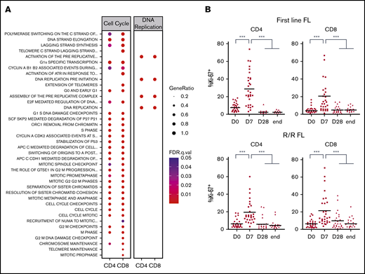Lenalidomide triggers T-cell proliferation in vivo in first-line and R/R patients with FL. (A) List of canonical pathways related to cell cycle and DNA replication upregulated in PD-1+ T cells. (B) Ki-67 expression by circulating CD4 and CD8 memory T cells in first-line (upper row) or R/R patients with FL (lower row) measured by flow cytometry at the indicated time points. D0, first day of the first cycle of treatment (before lenalidomide intake); D7, seventh day of the first cycle (before obinutuzumab infusion); D28, first day of the second cycle (before lenalidomide intake); end, end of induction. Median values are depicted as red lines. ***P < .001, multiple paired samples Wilcoxon tests. FDR, false discovery rate; .q.val, q-value.
