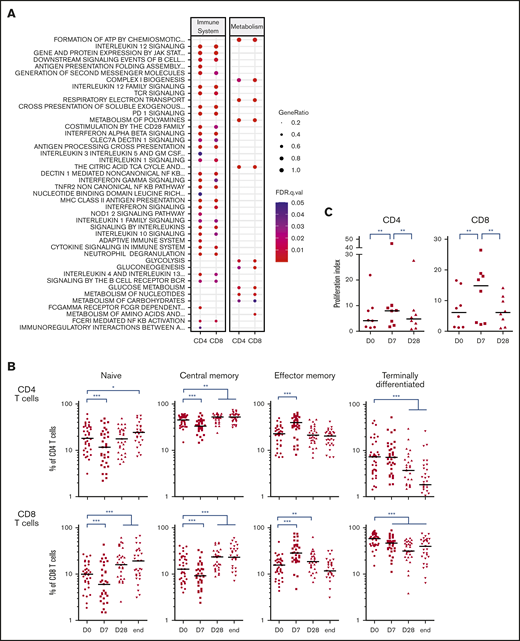 Lenalidomide shifts T-cell populations toward effector subset. (A) List of canonical pathways related to immune system and metabolism upregulated in PD-1+ T cells. (B) Percentages of naive, CM, EM, and terminally differentiated effector T cells assessed by flow cytometry in circulating CD4 (upper row) and CD8 T cells (lower row) of first-line patients with FL. (C) Proliferation index of CD4 and CD8 T cells stimulated ex vivo by CD3 and CD28 cross-linking at the indicated time points. D0, first day of the first cycle of treatment (before lenalidomide intake); D7, seventh day of the first cycle (before obinutuzumab infusion); D28, first day of the second cycle (before lenalidomide intake). *P < .05, **P < .01, ***P < .001, multiple paired samples Wilcoxon tests.