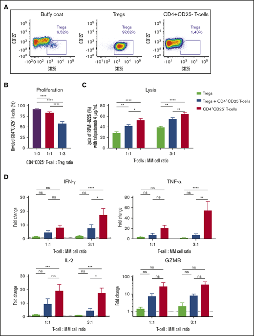Tregs suppress the proliferation and killing capacity of CD4+CD25-effector Tcells. (A) Tregs and CD4+CD25− effector T cells were isolated from healthy donor-derived buffy coats by using an immune-magnetic cell isolation kit. Baseline immune cell frequencies and purity of isolated fractions were determined by flow cytometry, representative density plots are depicted. (B) Effector cells were labeled with violet tracer and incubated with or without Tregs in the presence of anti-CD3/CD28-coated beads. Proliferation was measured by flow cytometry after 5 days. (C) RPMI-8226 cells were incubated with Tregs and/or effector cells for 48 hours at an E:T ratio of 1:1 and 3:1, with solvent control or talquetamab (4.0 µg/mL). In combination experiments, Tregs and effector T cells were combined in a 1:1 ratio. Lysis of MM cells was determined using a BLI-based cytotoxicity assay. (D) Cytokine and granzyme B concentrations in cell-culture supernatants were measured using flow cytometry, and concentrations in talquetamab-treated conditions are depicted as fold change compared with solvent control. Data represent mean ± SEM of 3 independent experiments, performed in triplicate. Groups were compared using ANOVA with Tukey’s posttest. *P < .05; **P < .01; ***P < .001; ****P < .0001.