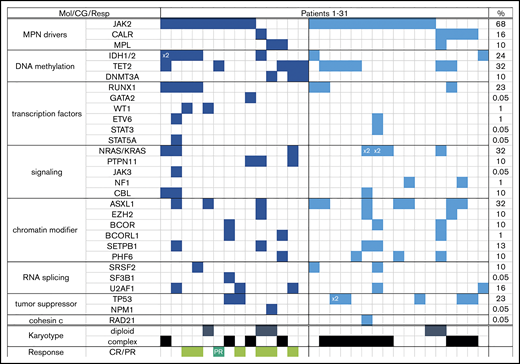 Each column represents one patient (patient 1 through 31). Detected mutation in respective gene is shown in dark blue (FL) and light blue (R/R) colors; x2 = patient had both mutations (eg, IDH1 and IDH2, or NRAS with KRAS). Last column shows overall frequency of mutated gene in the entire cohort. Bottom rows show karyotype (only depicted diploid vs complex) and response in the FL cohort (light green = complete remission regardless of counts recovery; dark green = partial remission). CG, cytogenetics; Mol, molecular; Resp, response.
