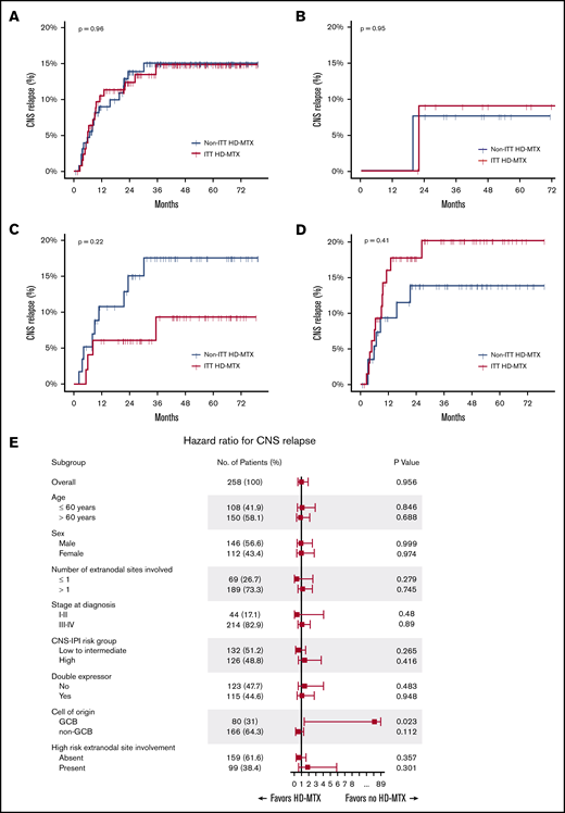Cumulative incidence of CNS relapse. In the overall population (A), CNS IPI low-risk (B), CNS IPI intermediate-risk (C), and CNS IPI high-risk (D) groups. (E) Forest plots of subgroup analyses.