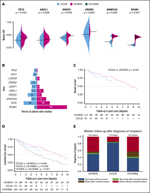 Molecular characteristics and survival outcomes in patients with clonal cytopenias of undetermined significance, lower-risk myelodysplastic syndromes, and lower-risk chronic myelomonocytic leukemia. (A) Split bean plot demonstrating the 6 most common mutations in both CCUS and LR-MDS and their respective VAFs. (B) Bar graph of CCUS and LR-MDS demonstrating the 10 most frequent mutations in all 188 patients and the percentage of patients with that mutation. (C) Kaplan-Meier OS estimate in CCUS and LR-MDS patients, censored at 10 years of follow-up. (D) Kaplan-Meier leukemia-free survival estimate in CCUS, LR-MDS, and LR-CMML patients, censored at 10 years of follow-up. (E) Distribution of survival and progression outcomes in LR-MDS, LR-CMML, and CCUS patients.