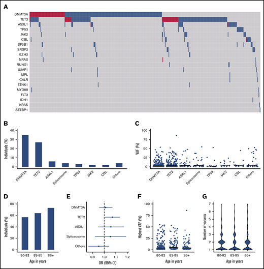High prevalence of clonal hematopoiesis at low VAF in individuals ≥80 years, dominated by DNMT3A and TET2 variants. (A) Mutational landscape for somatic variants detected in this elderly cohort. Blue and red color indicate respectively 1 or ≥2 variants per gene. (B) Proportion of individuals carrying a somatic variant in recurrently (>10×) mutated genes. (C) VAFs for all detected variants in recurrently (>10×) mutated genes. (D) Bar plot showing the proportion of individuals with CH, stratified into 3 age groups. (E) Forest plot showing the odds ratio with 95% CI for the presence of most prevalent gene variants according to a 1-year increase in age. (F-G) Highest observed VAF (scatter plot) and number of somatic variants (violin plot) per individual categorized in 3 age groups. The horizontal line and rectangle represent median values for the respective group. The category of spliceosome variants includes SF3B1, SRSF2, and U2AF1.
