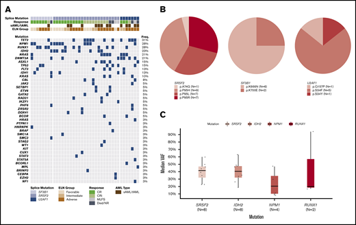 Molecular landscape of the spliceosome cohort. (A) Oncoprint of molecular mutations in patients with spliceosome mutations. (B) Frequency and associated amino acid substitution of included spliceosome mutations. (C) Variant allele frequency (VAF) of recurrently mutated genes in patients with SRSF2 and IDH2 co-mutations.