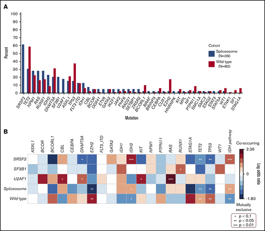 Co-mutation frequencies and enrichment in spliceosome-mutated and wild-type cohorts. (A) Mutation frequency in patients with vs without spliceosome mutations. (B) Heatmap demonstrating co-occurring mutations and mutually exclusive mutations between spliceosome mutations and cohorts, respectively.
