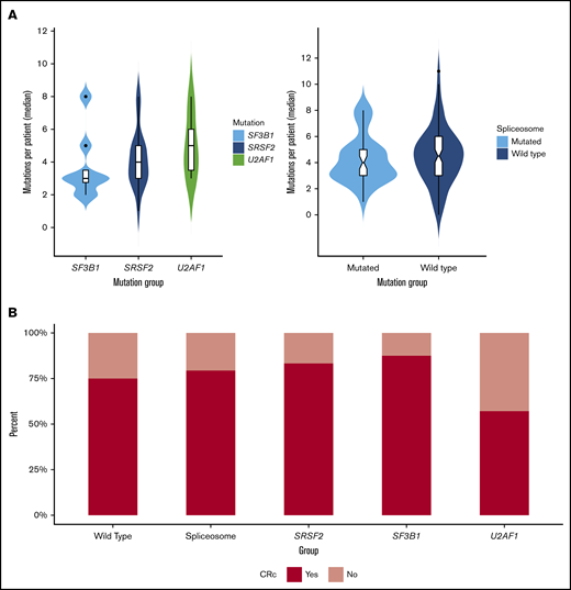 Mutation burden and treatment response in spliceosome-mutated and wild-type cohorts. (A) Median mutation burden in patients with SF3B1, SRSF2, and U2AF1 mutations and in patients with vs without spliceosome mutations. (B) Composite CR rates in wild-type and spliceosome cohorts, and by individual spliceosome mutation.