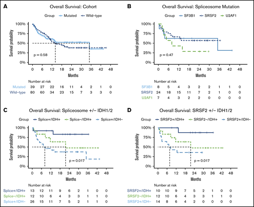 Survival outcomes by cohort and mutational subgroups. Overall survival in (A) patients with vs without spliceosome mutations; (B) by specific spliceosome mutation; (C) in patients with co-occurring spliceosome and IDH1/2 mutations, wild-type patients with IDH1/2 mutations, and spliceosome patients without IDH1/2 mutations; and (D) in patients with co-occurring SRSF2 and IDH1/2 mutations, wild-type patients with IDH1/2 mutations, and SRSF2-mutated patients without IDH1/2 mutations.