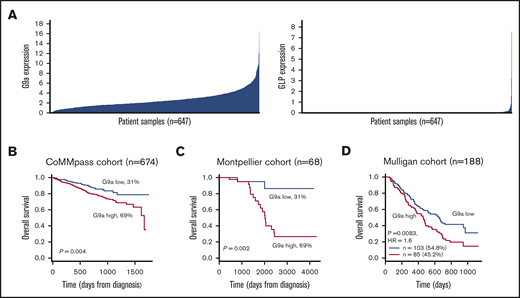 Prognostic value and expression of G9a and GLP in MM. (A) The expression profile of G9a and GLP was investigated in the MMRF cohort (n = 674). (B-D) The prognostic value of G9a in terms of OS was determined in newly diagnosed MM patients using the MMRF cohort (B; n = 674) and the Montpellier cohort (C; n = 68), as well as in relapsed MM patients from the Mulligan cohort (D; n = 188). Maxstat analysis was used to calculate the optimal separation of patients based on a cutoff value.