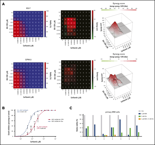Effect of BIX01294 on MM cell sensitivity to PIs. (A-C) Effect of G9a/GLP targeting on carfilzomib-induced cell death. (A) Effect of carfilzomib and/or BIX01294 (BIX-1294) treatment on human cell lines. Human OPM-2 (lower panel) and XG-7 (upper panel) cells were treated with the indicated concentrations of carfilzomib and/or BIX-1294 for 4 days. The viability was determined using a CellTiter-Glo assay, and synergy scores were calculated using the Bliss method. Results are the mean of 3 independent experiments. (B) Effect of G9a knockdown on carfilzomib-induced cell death. Transduced XG-7 shG9a#1 cells were cultured with increasing doses of carfilzomib 3 days after treatment or not with doxycycline (Dox) for an additional 4 days. The viability was determined using a CellTiter-Glo assay. Results are mean ± standard deviation of 4 independent experiments. *P < .05, **P < .005, ***P < .001. (C) Effect of carfilzomib (Cfz) and/or BIX01294 (BIX) treatment on primary human CD138+ MM cells. Mononuclear cells from 7 MM patients were treated with the indicated concentrations for 4 days, and the percentage of viable CD138+ plasma cells was determined by flow cytometry. Results are expressed as the relative viability compared with control (Cnt). (D) Western blot analysis of the mechanisms underlying the increased carfilzomib (Cfz) sensitivity upon BIX01294 (BIX) treatment. XG-7 cells were treated with BIX01294 (2 µM) and/or carfilzomib (2 nM) for 24 hours, after which western blot analysis was performed on whole-cell lysates for the indicated proteins. Actin was used as loading control, and 1 experiment representative of 3 experiments is shown. (E-F) Effect of BIX01294 (BIX), bortezomib (Bz), and combination (Combo) treatment on tumor burden (E) and survival (F) in the murine 5TGM1 model. Mice were inoculated with 5TGM1 cells and assigned to different treatment groups: vehicle, 10 mg/kg (mpk) BIX, 0.6 mg/kg (mpk) Bz, or BIX plus Bz (Combo). The number of mice per treatment group and the treatment scheme are indicated in the schematic overview (upper panel). To determine the effect on tumor burden (E), all mice were euthanized when the first mouse showed obvious signs of morbidity. *P < .05, ***P < .001. (F) To determine the effect on OS, each mouse was euthanized individually when showing clear signs of morbidity, and the effect on survival rates was determined by Kaplan-Meier analysis. *P < .05 vs treatment with Bz alone.