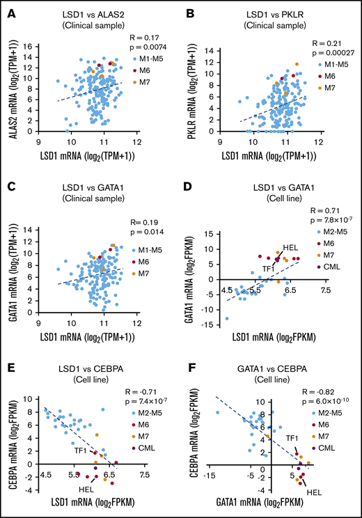 LSD1 expression is correlated positively with metabolic and GATA1 genes and negatively with CEBPA gene in AML cells of erythroid and megakaryocytic lineages. Scatter plots showing positive correlation of LSD1 and ALAS2 (A), LSD1 and PKLR (B), and LSD1 and GATA1 (C) in AML clinical samples in the TCGA database (n = 173). (D) Scatter plots showing positive correlation between LSD1 and GATA1 in AML cell lines (CCLE, n = 37). Scatter plots showing inverse correlation between LSD1 and CEBPA (E) and between GATA1 and CEBPA (F) in AML cell lines (CCLE, n = 37). Pearson product correlation coefficient and P values are indicated.