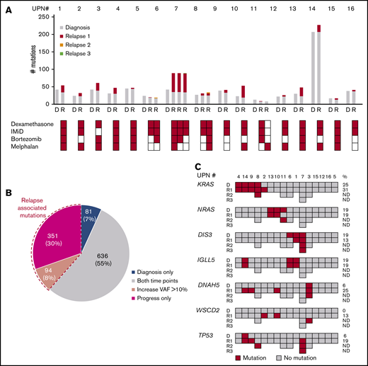 Gene mutations in pretreatment and relapse MM samples detected by WES. (A) Number of mutations at diagnosis (gray) and acquired mutations in serial relapse time points (red, relapse 1; yellow, relapse 2; green, relapse 3). Each bar shows the total number of mutations at the respective time point (D, diagnosis; R, relapse) in individual patients. Treatments with dexamethasone, immunomodulatory drugs (IMiD), bortezomib and melphalan before the acquisition of the sample are indicated below. (B) Distribution of mutations (number (%)) detected at diagnosis and in relapse samples. Mutations present only at diagnosis are color-coded in blue, mutations present at both time points in gray, and mutations present only at relapse in red. Dashed lines indicate the proportion of mutations with a VAF increase >10% at relapse. (C) Recurrent gene mutations at diagnosis and relapse. Each column represents 1 patient. For each gene, the presence of a mutation (color-coded in red; dark gray indicates no mutations was detected) at different time points is indicated in subsequent rows. On the right-hand side, the frequency of mutated patients at diagnosis and at relapse is given. UPN, unique patient number.
