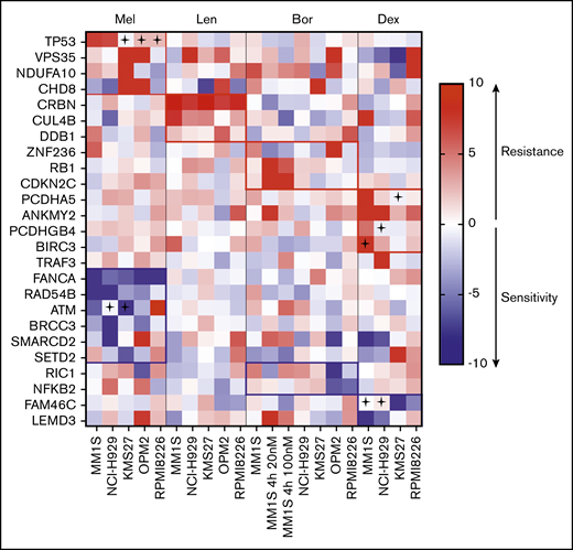 Heatmap of genes scoring significantly in CRISPR-Cas9 screens. SgRNAs targeting the listed genes conferred resistance (red) or sensitivity (blue) to ≥1 of the tested drugs (Bor, bortezomib; Dex, dexamethasone; Len, lenalidomide; Mel, melphalan) in ≥1 cell line. A cross indicates that the cell line carries a mutation in the respective gene (according to the Cancer Cell Line Encyclopedia database33).