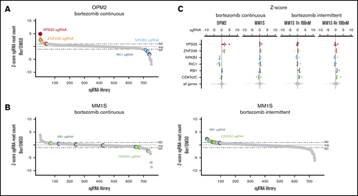 CRISPR-Cas9 screens in bortezomib-treated MM cell lines. (A) sgRNA waterfallplot for OPM2 cells treated continuously with 3 nM bortezomib. (B) sgRNA waterfallplot for MM1S cells treated continuously with 1 nM bortezomib or intermittent treatment with 100 nM for 4 hours. (C) Significant his per cell line ranked by sgRNA z-score
