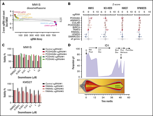 CRISPR-Cas9 screen in dexamethasone-treated myeloma cell lines. (A) sgRNA waterfallplot of MM1S cells treated with 60 nM dexamethasone. (B) Significant hits from CRISPR-Cas9 screens for all cell lines. (C) Cell viability of KMS27- and MM1S-Cas9 cells expressing gene targeting (PCDHGB4, PCDHA5, and FAM46c) or control sgRNAs after treatment with DMSO or dexamethasone for 4 days. (D) Paraprotein course and clonal evolution of patient 1 (Pred, prednisolone; Pom, pomalidomide).