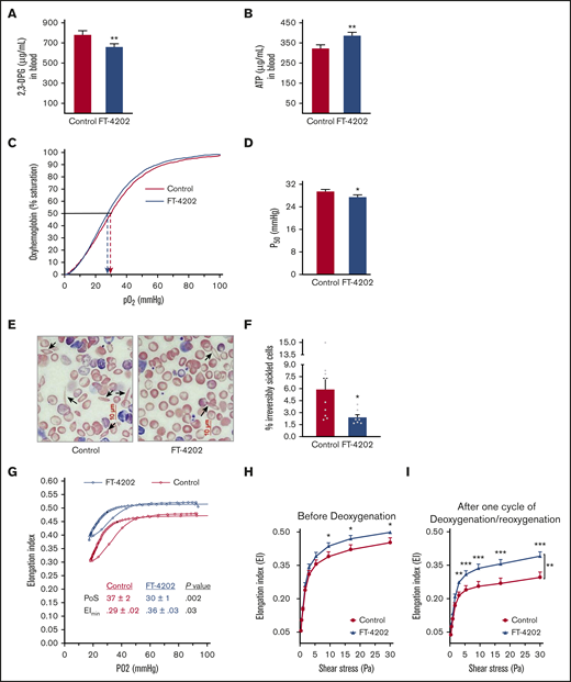 Oral administration of FT-4202 improves RBC parameters in the BERK mouse model. 2,3-DPG (A) and ATP (B) concentration in blood of BERK mice fed with control or FT-4202 chow for 2 weeks. (A-B) n = 17 mice per group. (C) P50 curve/oxygen equilibrium curve (OEC) showing the HbS P50 level in the blood of BERK assessed after 2 weeks of FT-4202 vs control chow administration. The oxygen dissociation curves are plotted using the average values of partial pressure of oxygen (pO2) and the percentage of oxygen saturation at each point of 4 control BERK mice (red line) and 4 FT-4202 BERK mice (blue line). Dashed arrows mark the P50 values for each group. (D) P50 levels. (C-D) n = 4 mice per group. (E) Representative peripheral blood smears showing ISCs (black arrow) stained with modified Wright's stain; scale bar, 10 µM. (F) Irreversibly sickled cells (ISCs) quantification in control and FT-4202 BERK mice. Images of the blood smears were taken using a Nikon Eclipse Ti inverted microscope, and 10 diffesrent high magnification fields per mouse were quantified for ISCs using ImageJ analysis software. ISCs were identified as elongated RBCs with a longitudinal-to-transverse diameter ratio of >2.0. The percentage of ISCs was calculated as the number of ISCs normalized to the total number of red blood cells; n = 9 control BERK mice; n = 7 FT-4202 BERK mice. (A-F) *P < .05; **P < .01; unpaired Student t test. (G-I) Assessment of RBC sickling kinetics and membrane deformability in control BERK vs FT-4202 BERK mice after 2 weeks of treatment, using Lorrca Oxygenscan. (G) RBCs from FT-4202 and control BERK mice were subjected to controlled deoxygenation from ambient pO2 (normoxia) to a pO2 of <15 mm Hg followed by reoxygenation to normoxia. At fixed shear stress of 30 Pa, RBC deformability (EI) was measured across an O2 gradient from normoxia to hypoxia (G). The highest (maximum) EI is seen at ambient pO2 (EImax). As pO2 decreases, HbS polymerization ensues, making the RBCs stiff/rigid, and reducing their EI. The point of sickling (PoS) is the pO2 when the EI drops to 95% of the EImax. A further precipitous decline in EI occurs during the rapid HbS polymerization phase, resulting in extremely rigid RBCs with a minimum EI (EImin) at pO2 <20 mm Hg. RBCs are then reoxygenated back and EI was measured. The graph represents an average (Avg) EI (n = 13 control BERK mice, shown in red; n = 12 FT-4202 BERK, shown in blue). PoS is denoted by the black filled circles in each group. (H-I) RBC membrane deformability (EI) measured under normoxia, across a gradient of shear stress between 0.3 and 30 Pa. Because HbS polymerization does not occur under normoxia, this assay measures membrane damage reflected in reduced deformability. Deformability before deoxygenation (H) and after 1 cycle of deoxygenation/reoxygenation (I) on the Lorcca Oxygenscan. Here, in both instances, measurements of EI under normoxia ensured assessment of membrane damage without the confounding effect of HbS polymerization/sickling, but assessed the membrane damage before and after 1 cycle of experimentally induced sickling. Comparison at the different individual shear-stress levels were made using unpaired Student t tests: *P < .05; **P < .01; ***P < .001. Comparisons at overall shear stress of the entire deformability curve were made using 2-way analysis of variance (ANOVA): **P < .01. Curves in panel H were plotted using mean plus or minus standard error of the mean (SEM), EI of n = 14 control BERK mice (depicted in red) and n = 14 FT-4202 BERK mice (depicted in blue).