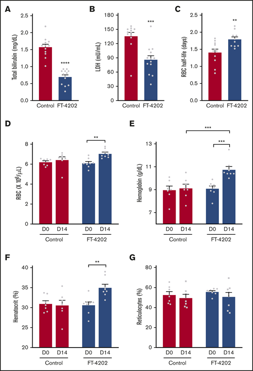 Oral administration of FT-4202 increases Hb and improves RBC parameters in BERK mice following FT-4202 administration. Total bilirubin (A) and LDH (B) concentrations in plasma collected from control and FT-4202 BERK mice after 2 weeks of placebo vs FT-4202 administration. Each symbol represents an individual animal: n = 12 control BERK mice and n = 13 FT-4202 BERK mice. (C) Half-life of RBCs in FT-4202 and control BERK mice, as determined by in vivo biotin labeling. Each symbol represents the RBC half-life of an individual mouse: n = 10 control BERK mice and n = 7 FT-4202 BERK mice. (D-G) Peripheral blood analysis at day 0 (D0) and after 2 weeks of placebo vs FT-4202 treatment (D14) showing RBC counts (D), Hb (E), hematocrit (F), and percentage of reticulocytes (G) in FT-4202 BERK as compared with control BERK mice. (D-G) n = 7 control BERK and n = 8 FT-4202 BERK. Comparison of day 0 vs day 14 was made using the paired Student t test and comparison between control and FT-4202 groups was made using the unpaired Student t test: **P < .01, ***P < .001, ****P < .0001.