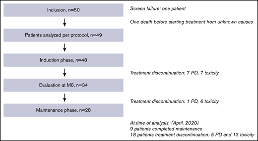 Study flowchart, patient disposition, and treatment exposure. M8, month 8; PD, progressive disease.