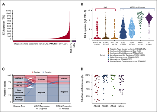 MSLN expression in pediatric and adult AML. (A) MSLN transcript expression was detected in a subset of pediatric AML cases (n = 1031) but was absent in NBM (n = 68) and CD34+ PB cells (n = 16), as determined by RNA-Seq. (B) MSLN expression in pediatric (TARGET cohort) and adult (TCGA and BEAT AML) AML patients compared with several MSLN+ solid tumors in patients from the TCGA cohort. (C) Concordance of MSLN transcript expression, positive vs negative, at diagnostic and relapse time points, according to karyotype (KMT2A-R, CBF, other, and normal karyotype). (D) Percentage of cells above autofluorescence, representing the percentage positivity on blasts, for some archetypal surface antigens in AML that are considered immunotherapeutic targets (CD117, CD33, CD123) and MSLN, showing similar distribution of heterogeneity of expression.