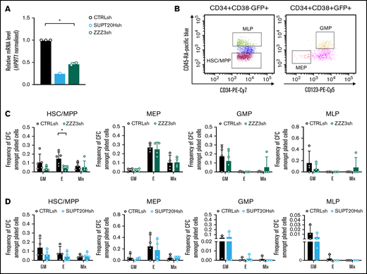 ATAC is selectively required for erythroid specification from CB HSC. (A) qRT-PCR validation of SUPT20H and ZZZ3 knockdown in human CB HSC. Representative experiment for SUPT20H; mean ± SEM of 2 individual experiments for ZZZ3; gene expression relative to CTRLsh, normalized to HPRT1 housekeeping gene. Paired 2-tailed Student t test for significance *P < .05. (B) Representative sorting plot for transduced HSC and progenitor cells from CB. (C) Frequency of CFC efficiency in the HSC/multipotent progenitor (MPP), MEP, GMP, and MLP compartments transduced with ZZZ3sh. Mean ± SEM of 5 individual CB samples (4 for GMP, MLP). Two-tailed paired Student t test for significance; *P < .05. (D) Frequency of CFC efficiency in the HSC/MPP, MEP, GMP, and MLP compartments transduced with SUPT20Hsh. Mean ± SEM of 4 individual CB samples. Two-tailed paired Student t test for significance; no significant differences.